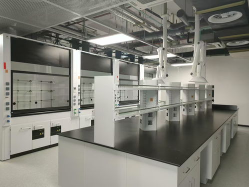 以派诺实验为例，解析专业实验室设备直销工厂的核心能力