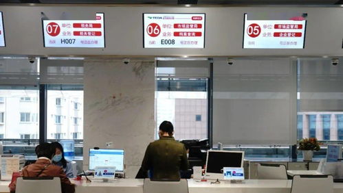 档案查询小窗口，信息咨询服务大舞台 连接历史与未来的桥梁