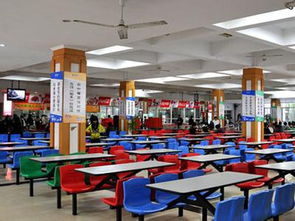 湛江工厂食堂承包咨询全指南 关键信息与实用建议