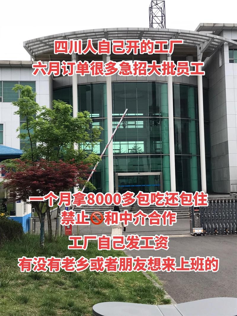 海口秀英区晖熙宇信息咨询服务部:#成都找工作 #男女不限 #长白班坐班